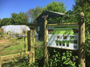 Green Britain Centre organic garden